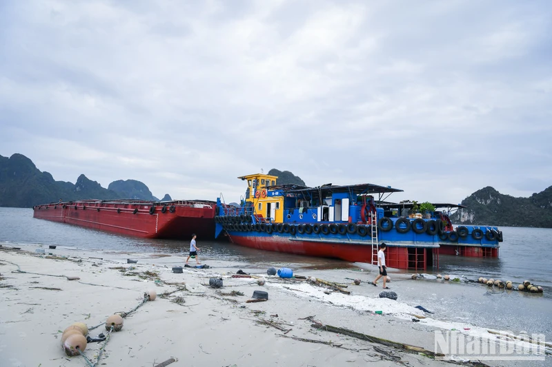 Một tàu sà lan neo tại vùng biển Hạ Long (Quảng Ninh) sau cơn bão số 3.