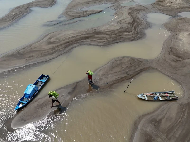 Sông Solimoes ở Manacapuru, bang Amazonas, Brazil cạn trơ đáy. (Ảnh: Reuters)