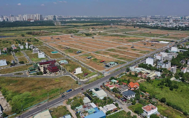 Sử dụng đất trồng lúa sang loại đất khác mà không được phép bị phạt tới 200 triệu đồng.