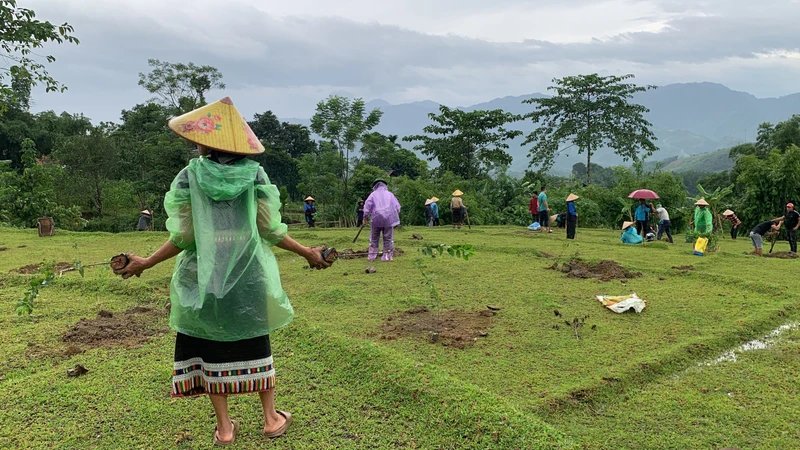 Chương trình Phát triển Cộng đồng xã Yên Thắng đặt mục tiêu xây dựng một cộng đồng tự chủ, tự lực trong phát triển kinh tế cộng đồng. Dự án hướng tới việc hỗ trợ xã Yên Thắng sớm đạt đủ các tiêu chí thuộc Bộ tiêu chí “Xã nông thôn mới” và “Xã nông thôn mới nâng cao”; hoàn thiện cơ sở hạ tầng cho địa phương và tạo sinh kế bền vững... 