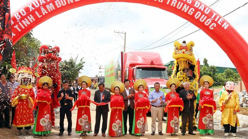 Cắt băng khai trương chuyến hàng sầu riêng đầu tiên của tỉnh Lâm Đồng xuất khẩu chính ngạch sang thị trường Trung Quốc.