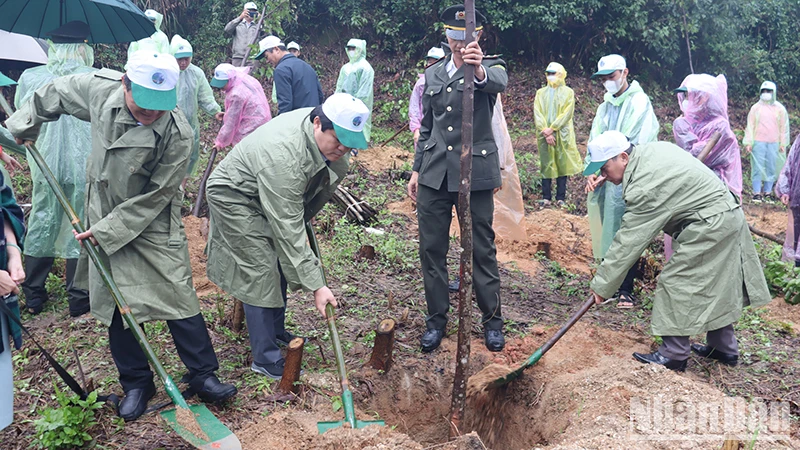 Lãnh đạo tỉnh Quảng Ngãi tham gia trồng cây đời đời nhớ ơn Bác Hồ.