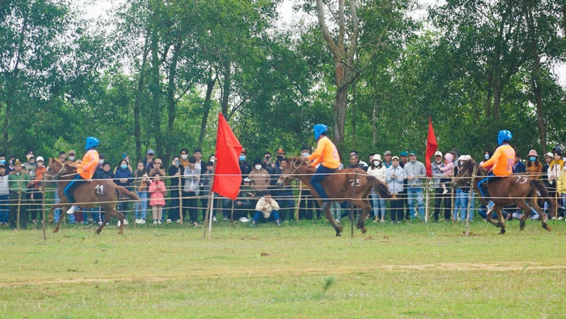Hội đua ngựa truyền thống Gò Thì Thùng, tỉnh Phú Yên thu hút hàng nghìn người dân địa phương và khách du lịch trong cả nước đến tham gia, cổ vũ.