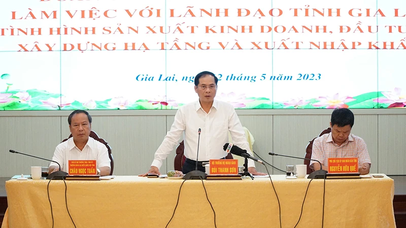 Bộ trưởng Ngoại giao Bùi Thanh Sơn tại buổi làm việc với lãnh đạo tỉnh Gia Lai.
