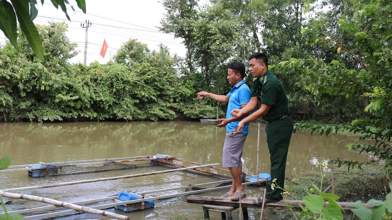 Đại úy Lê Văn Hải, cán bộ Đồn Biên phòng Yok M’Bre hướng dẫn hộ dân kỹ thuật chăm sóc cá thát lát đúng cách. (Ảnh: BÍCH NGUYÊN)