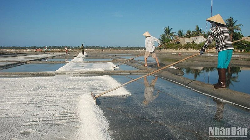 Nghề làm muối Sa Huỳnh được công nhận Di sản văn hóa phi vật thể quốc gia.