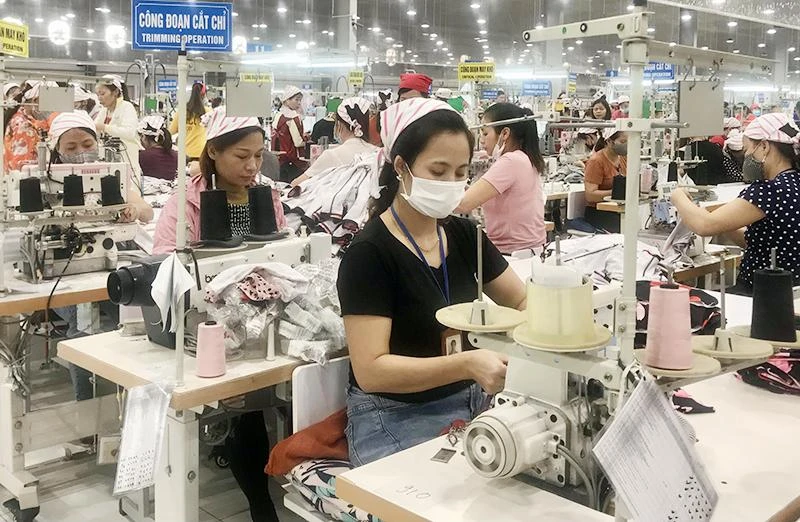 Công nhân may tại Khu công nghiệp Thụy Vân tỉnh Phú Thọ. (Ảnh THÁI DƯƠNG) 