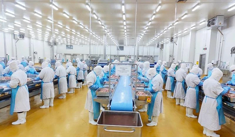 Sản xuất thịt gà chế biến tại Nhà máy CPV Food Bình Phước (Công ty cổ phần Chăn nuôi C.P.Việt Nam). (Ảnh BÍCH DIỄM)