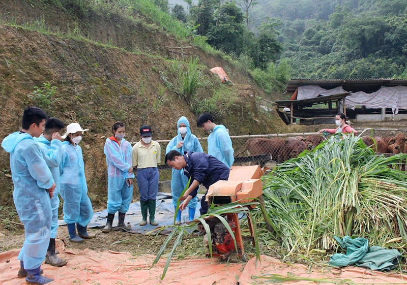 Dạy nghề chăn nuôi tại Trường cao đẳng Bắc Kạn.