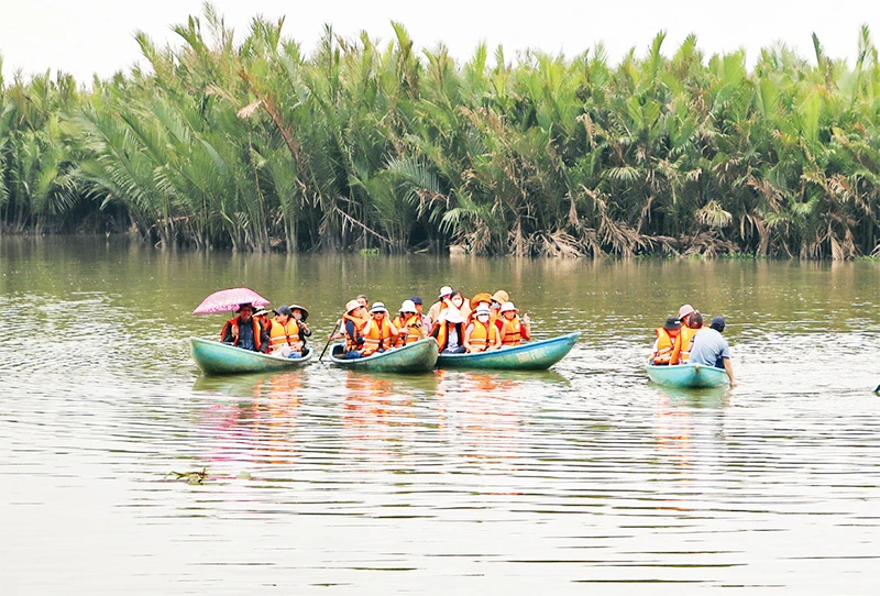 Rừng dừa Cà Ninh thu hút du khách.