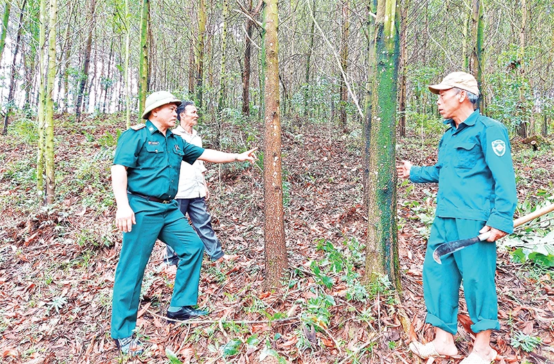 Trung tá Nguyễn Minh Việt, Phó Bí thư Đảng ủy xã Hóa Sơn trao đổi với bà con về kế hoạch trồng rừng gỗ lớn.