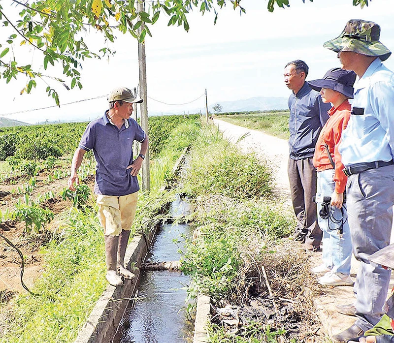 Hệ thống kênh mương đang phát huy hiệu quả trong sản xuất nông nghiệp tại huyện Đăk Hà, tỉnh Kon Tum.