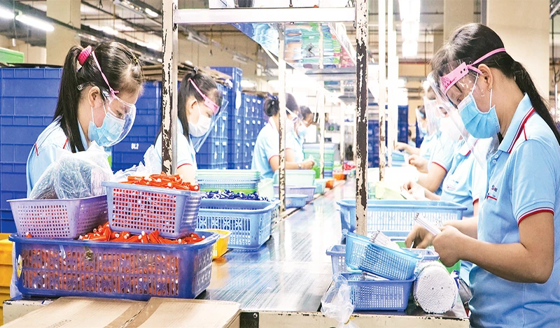 Hoạt động sản xuất của Công ty cổ phần Tập đoàn bút bi Thiên Long, Khu công nghiệp Tân Tạo, quận Tân Bình. (Ảnh THẾ ANH)