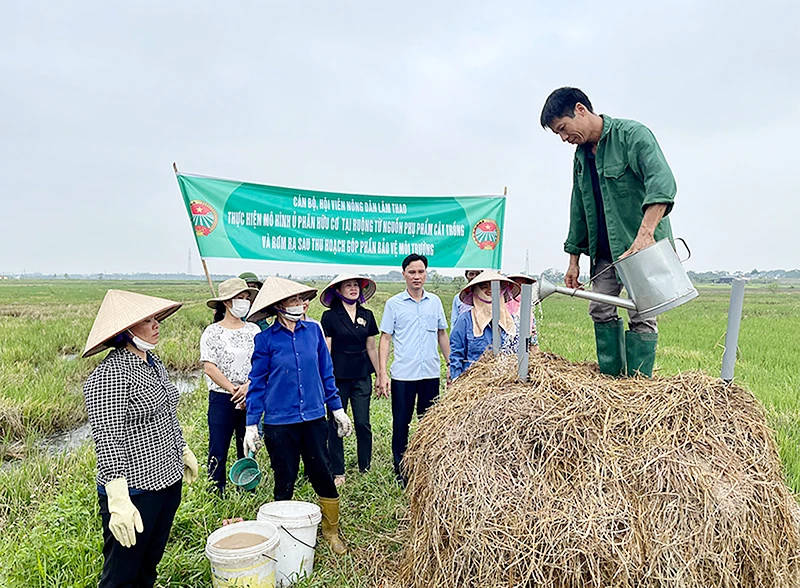 Hướng dẫn kỹ thuật sản xuất phân bón hữu cơ cho nông dân huyện Lâm Thao, tỉnh Phú Thọ. (Ảnh ĐỨC THUẬN)