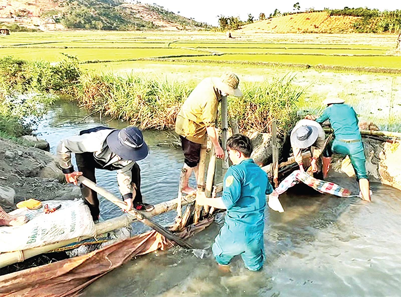 Huyện Di Linh, tỉnh Lâm Đồng huy động lực lượng cùng người dân nạo vét kênh mương tích trữ nước sản xuất nông nghiệp. 