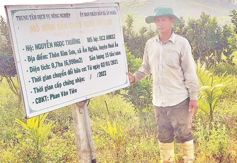 Anh Nguyễn Ngọc Thường đã làm thay đổi vùng đất này với mô hình sản xuất nông nghiệp hữu cơ.