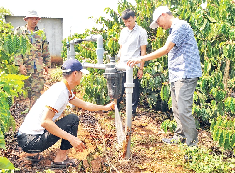 Cán bộ thuộc Dự án SACCR tại tỉnh Đắk Nông hướng dẫn người dân lắp đặt và sử dụng hệ thống tưới nước tiết kiệm cho vườn cà-phê.