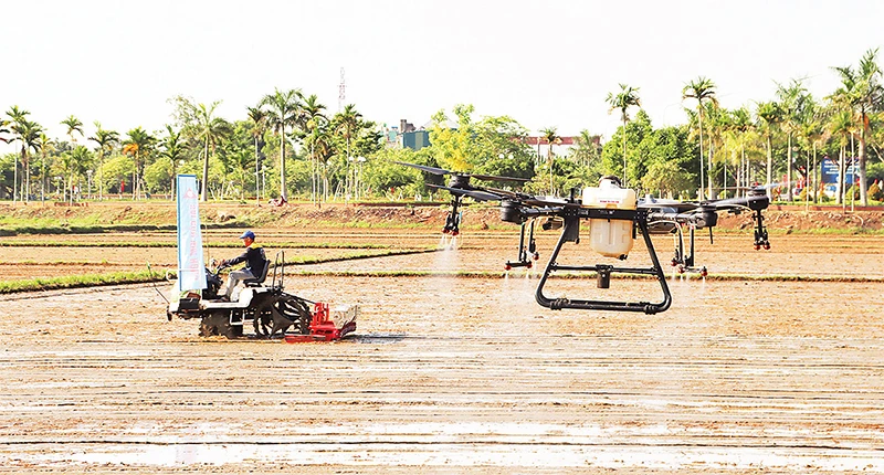 Sử dụng máy sạ cụm và phun thuốc bằng máy bay không người lái tại xã Đức Tân, huyện Mộ Đức (Quảng Ngãi).