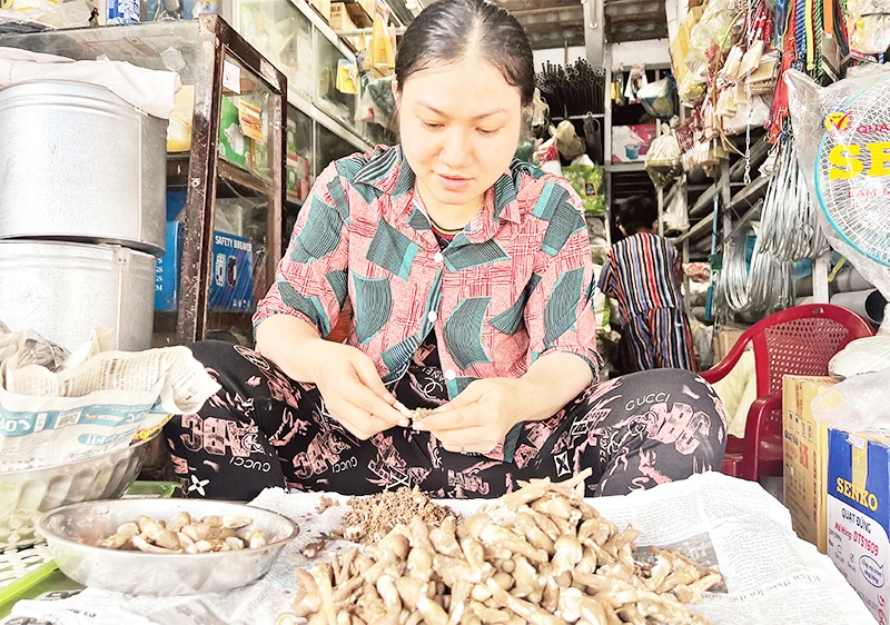 Người dân làm sạch, sơ chế nấm mối.