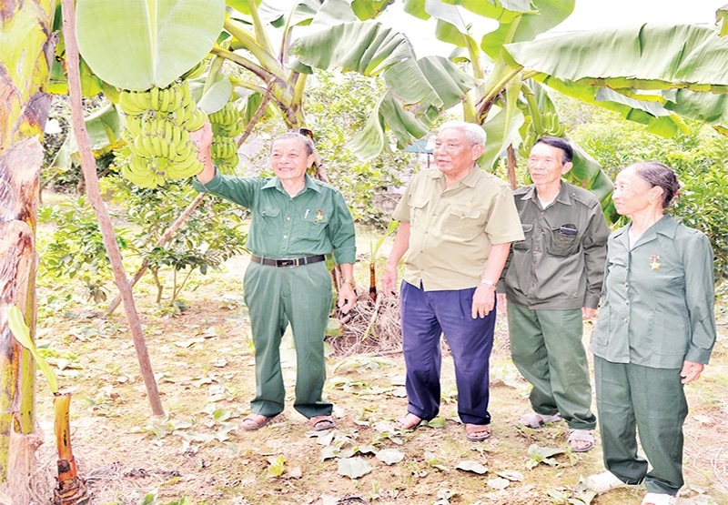 Ông Trần Văn Luần (ngoài cùng bên trái) ở thôn Tân Na, xã Nhật Tiến, huyện Hữu Lũng (Lạng Sơn) giới thiệu mô hình kinh tế của gia đình.