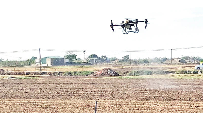 Sử dụng thiết bị bay không người lái (drone) để phun thuốc bảo vệ thực vật trong sản xuất nông nghiệp ở Hải Dương. (Ảnh BẢO HÂN)