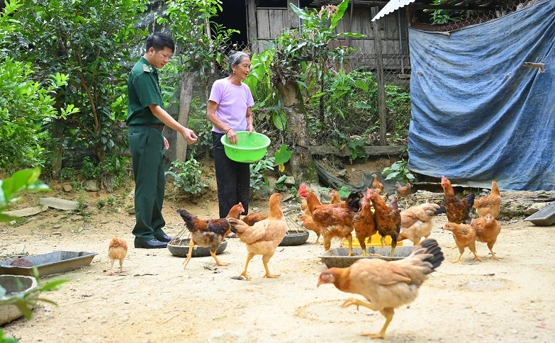 Đàn gà của gia đình bà Xỉnh do Đồn Biên phòng Phúc Sơn hỗ trợ phát triển tốt.