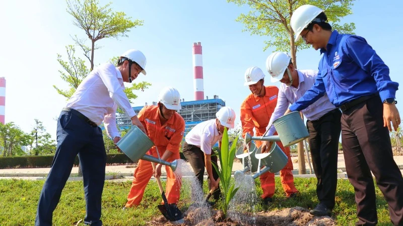 Công ty luôn chú trọng công tác bảo vệ môi trường, tạo mảng xanh trong khuôn viên nhà máy.