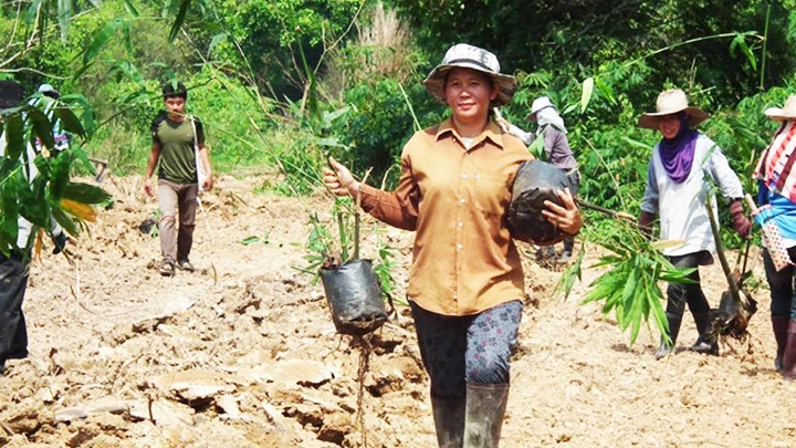 Cư dân Ban Boon Rueang trồng cây phục hồi vùng đất ngập nước. Ảnh: MONGABAY
