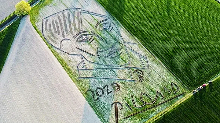 Khắc họa chân dung Picasso trên cánh đồng