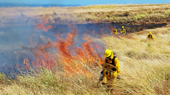 Lực lượng cứu hỏa nỗ lực dập tắt các đám cháy tại Maui. Ảnh: CNN