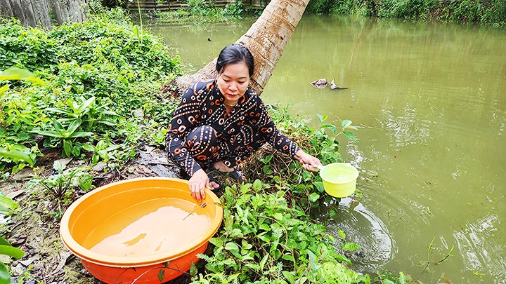 Người dân vẫn phải sử dụng nước kênh, rạch... lóng phèn trong sinh hoạt.