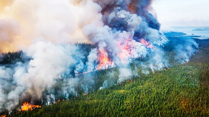 Cháy rừng bùng phát nghiêm trọng tại Canada. Ảnh: CABINRADIO