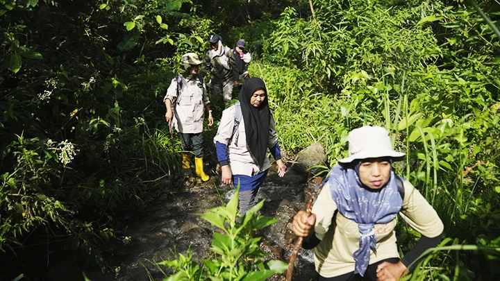 Lực lượng kiểm lâm tuần tra bảo vệ rừng ở Damaran Baru. Ảnh: AP