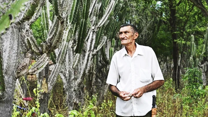 Ông Nascimento nỗ lực bảo vệ đất trước tình trạng sa mạc hóa. Ảnh: PABLO PORCIUNCULA