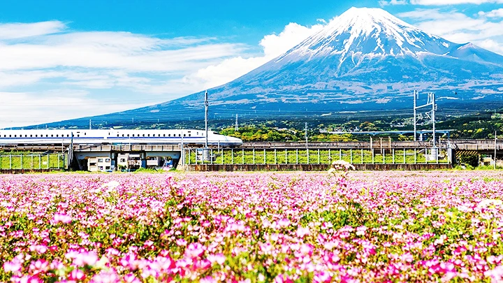 Một đoàn tàu Shinkansen chạy ngang qua ngọn núi Phú Sĩ của Nhật Bản. Ảnh: GETTY IMAGES