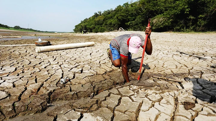 Người dân tìm cách tiếp cận nguồn nước ngọt khi hồ Puraquequara cạn nước.Ảnh: AFP