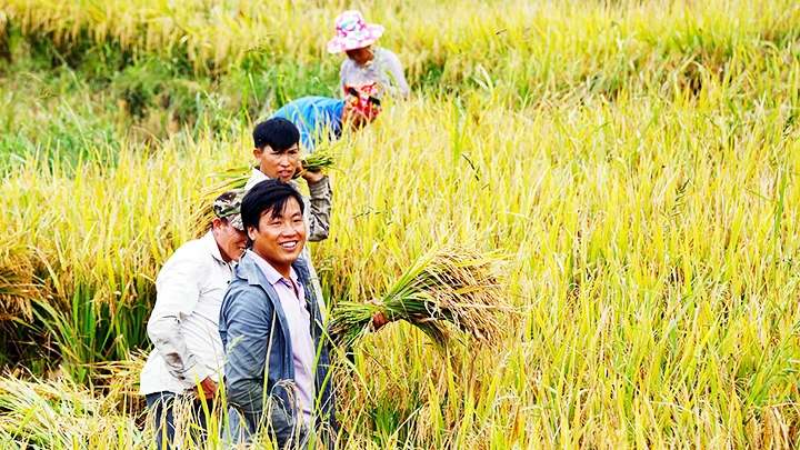 Công tác giảm nghèo ở vùng đồng bào dân tộc thiểu số và miền núi đạt nhiều kết quả tích cực. Ảnh: K.MINH