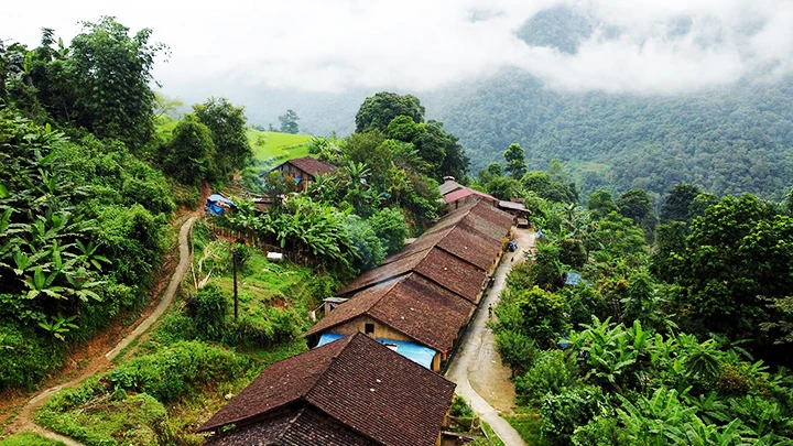 Dãy nhà trình tường Nà Rẻo nằm giữa thung xanh.