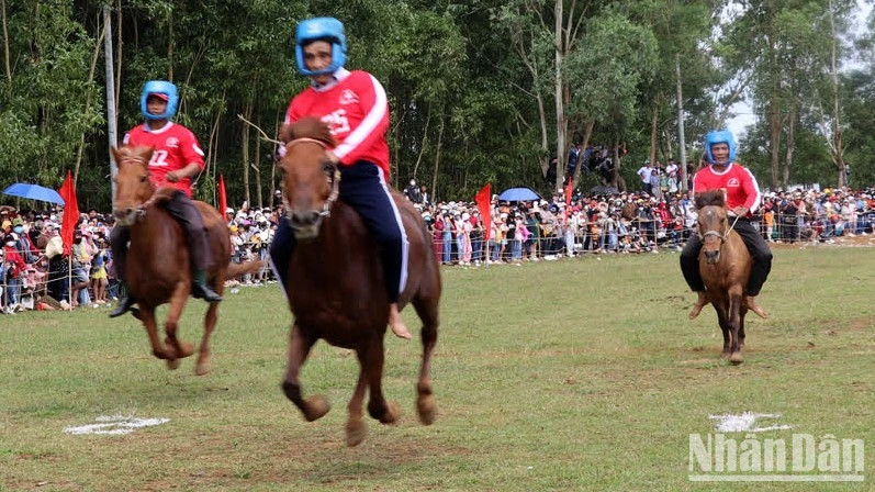 Các kỵ mã tranh tài trên đường đua hấp dẫn người xem tại hội đua ngựa Gò Thì Thùng, Phú Yên