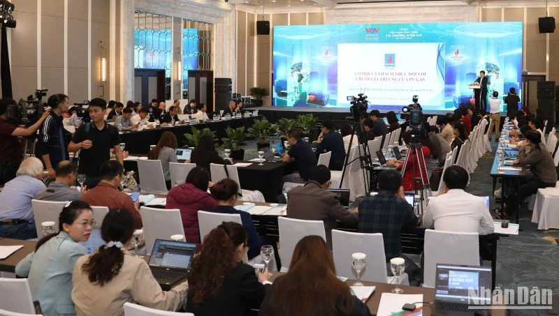 Các đại biểu tham dự tọa đàm "Tiềm năng phát triển thị trường điện khí tại Việt Nam".