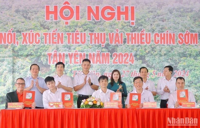 Đại diện Central Retail (ngoài cùng bên trái) ký kết hợp đồng ghi nhớ tiêu thụ vải thiều chín sớm Tân Yên năm 2024 với các Hợp tác xã cung cấp vải thiều của tỉnh Bắc Giang.