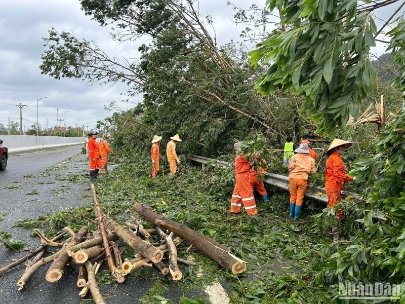 Lực lượng bảo trì, khai thác tuyến đường cao tốc Hạ Long-Vân Đồn đã huy động phương tiện và nhân lực ráo riết khắc phục sự cố trong bão gió, đến đêm 7/9, tuyến đường đã lưu thông trở lại.