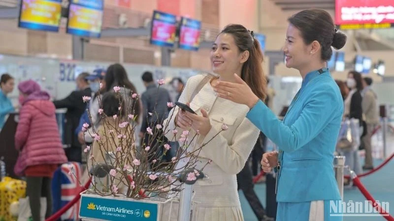 Vietnam Airlines Group cung ứng thêm hơn 650.000 ghế, tương đương hơn 3.000 chuyến bay trên các chặng bay nội địa Việt Nam trong dịp Tết Nguyên đán.