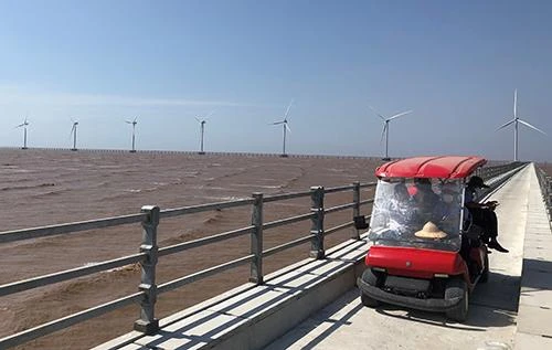 Du khách tham quan trang trại Điện gió Hòa Bình 1 bằng xe điện. 