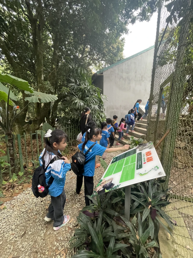 Hành trình tham quan và trải nghiệm thiên nhiên tại Trung tâm Bảo tồn thú ăn thịt và tê tê. Ảnh: Save Vietnam’s Wildlife.