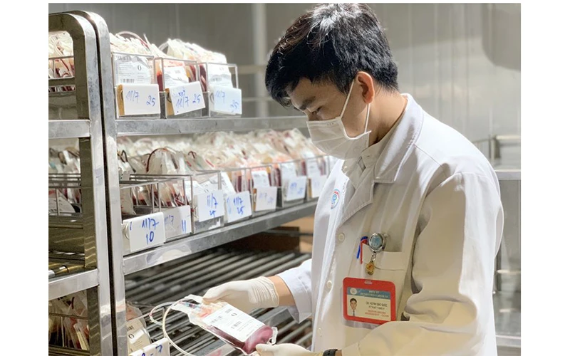 Kỹ thuật viên Bệnh viện Chợ Rẫy, Thành phố Hồ Chí Minh kiểm tra túi máu trước khi chuyển cho các tỉnh miền Tây. Nguồn: Bệnh viện Chợ Rẫy