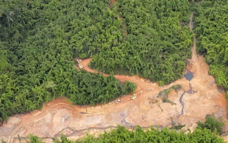 Nhiều diện tích rừng, suối bị các đối tượng đưa xe cơ giới xới tung để đào đãi vàng trái phép.