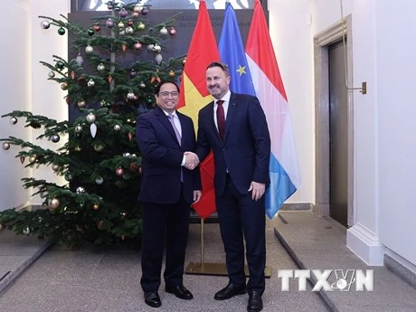 Thủ tướng Chính phủ Phạm Minh Chính và Thủ tướng Luxembourg Xavier Bettel. (Ảnh: TTXVN)