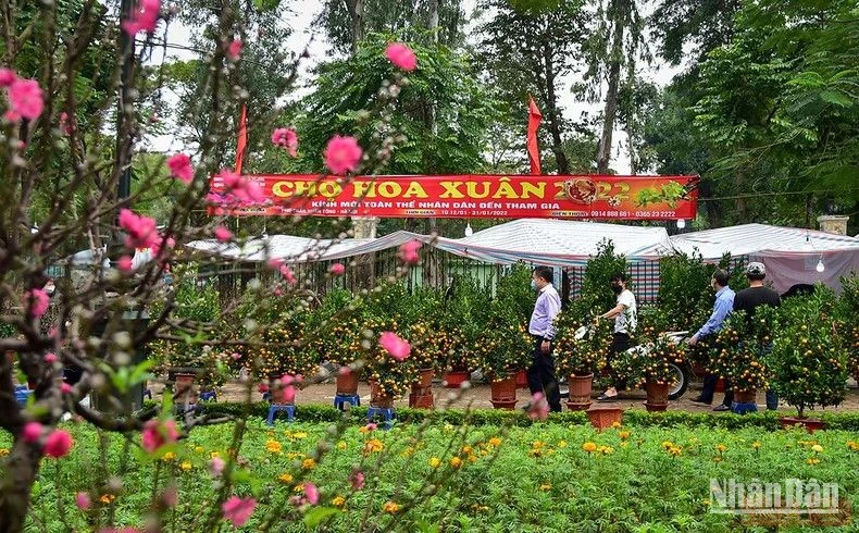 Một chợ hoa xuân tại Hà Nội. (Ảnh: THÀNH ĐẠT)