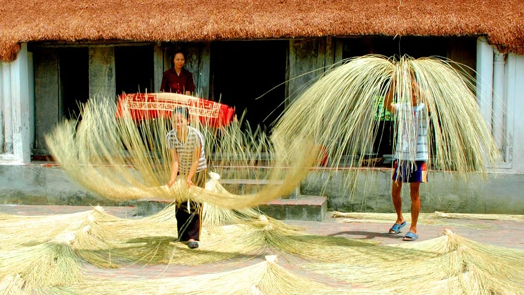 Nghề cói Kim Sơn. (Ảnh: Trung tâm thông tin đối ngoại tỉnh Ninh Bình)